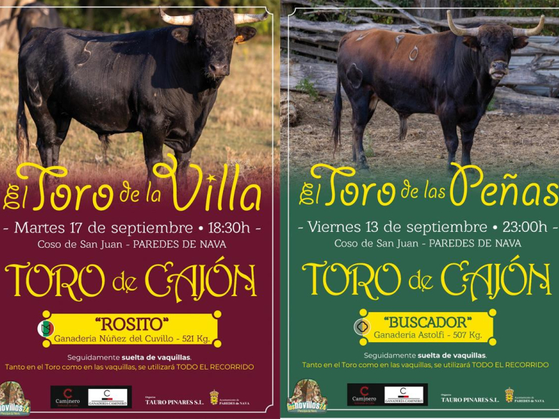 Cartel toros Paredes de Nava 2024