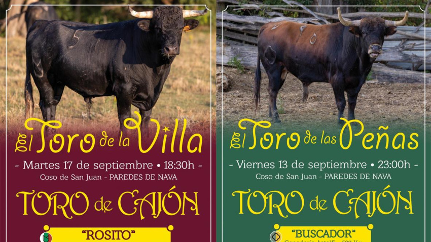 Cartel toros Paredes de Nava 2024