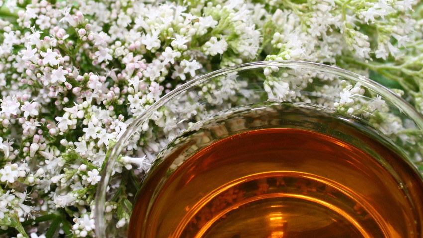 Preparar una infusión de valeriana es muy sencillo