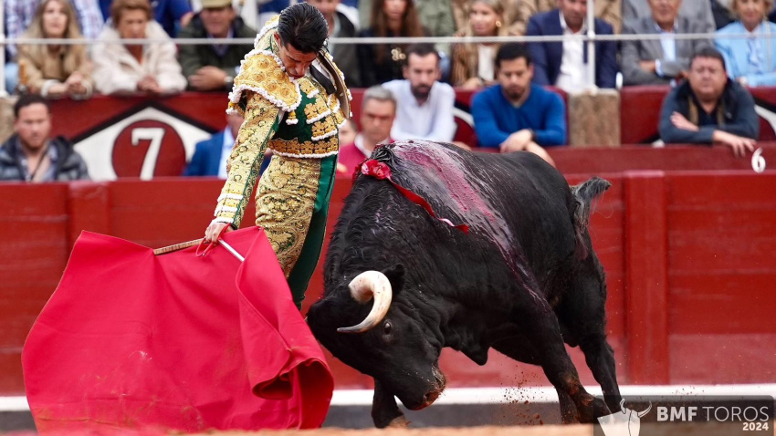 Derechazo de Talavante a 'Guapo', el cuarto toro de Garcigrande
