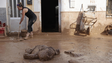 Vista de un osito de peluche cubierto por el lodo en la Masía del Oliveral, en Riba-Roja