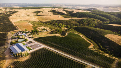 La finca ocupa más de 600 hectáreas a 1.000 metros de altitud, donde habitan animales en libertad