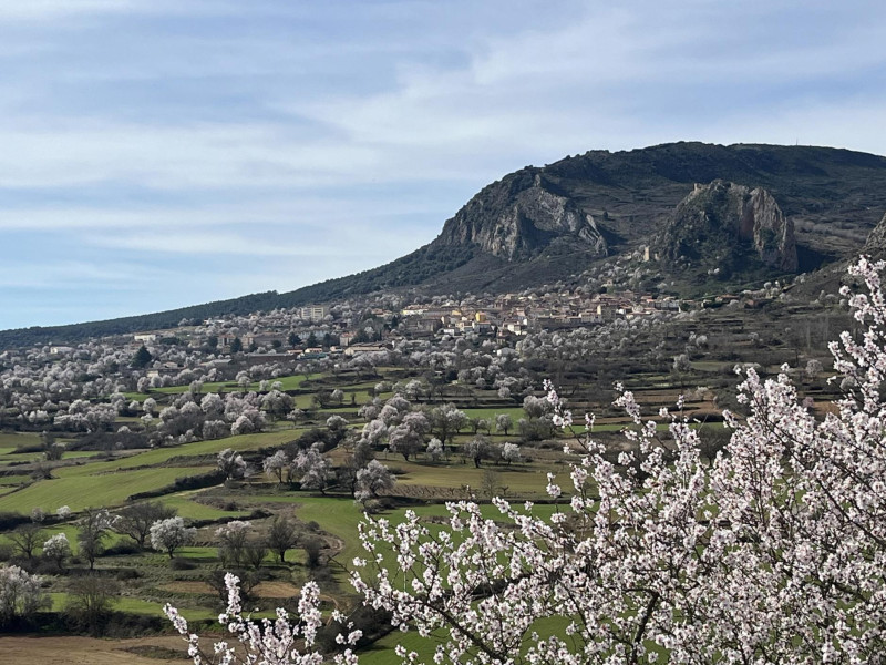 Poza de la Sal (Burgos)