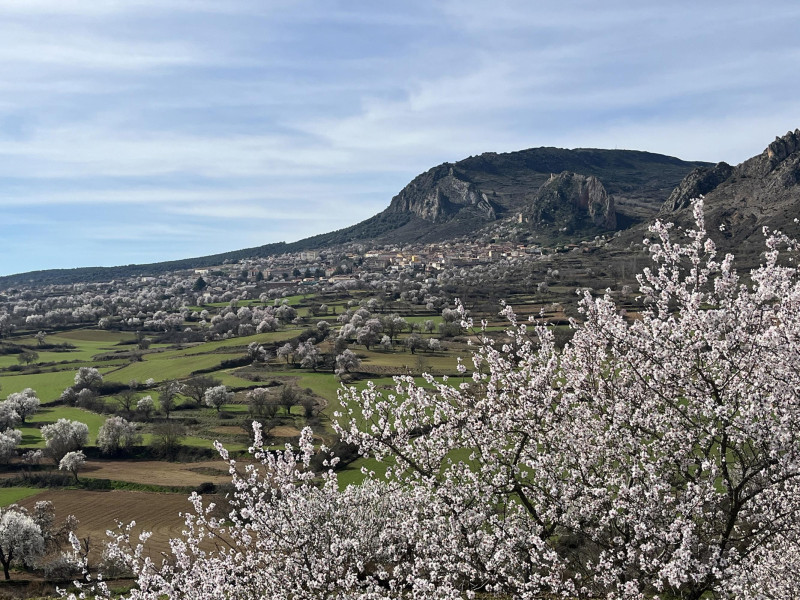 Poza de la Sal (Burgos)
