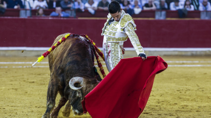 Alejandro Talavante ante un toro de Álvaro Núñez en la Feria del Pilar de Zaragoza