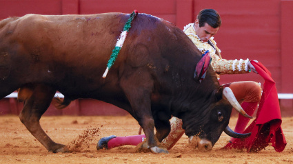 Juan Ortega y el toro 'Florentino' de Domingo Hernández al que cortó dos orejas en Sevilla
