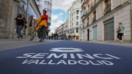 SEMINCI 2024 Alfombra azul