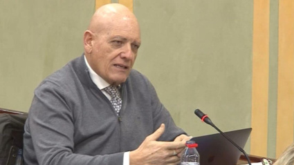 La Junta de Andalucía anuncia que indemnizará la destrucción de cultivos de aguacate afectados por el escarabajo de la ambrosía