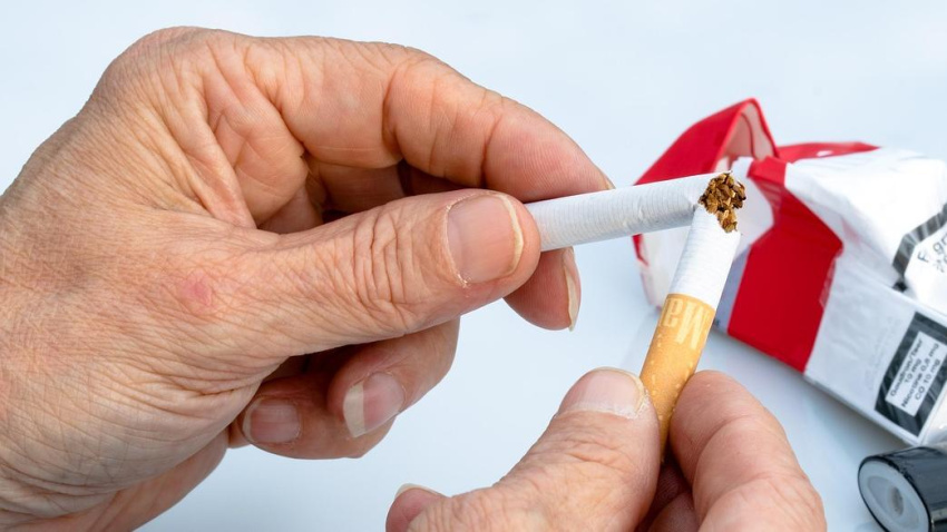 Actualmente, el tabaco es la principal causa de muerte evitable y está vinculado directamente con más de 15 tipos de cáncer