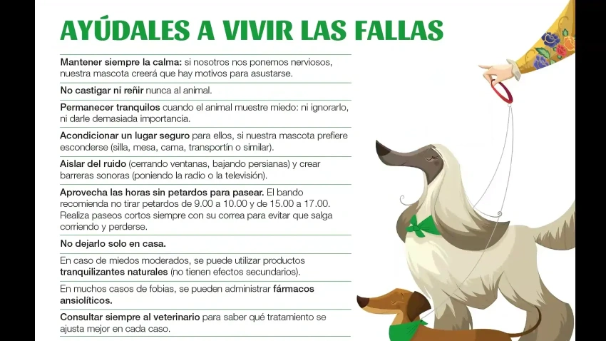 Recomendaciones para las mascotas en Fallas