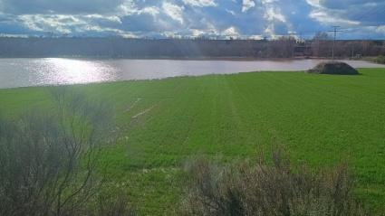 Cultivo inundado tras la borrasca Jana