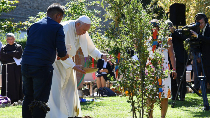 Papa Francisco