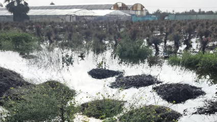 Costa Noroeste inundaciones