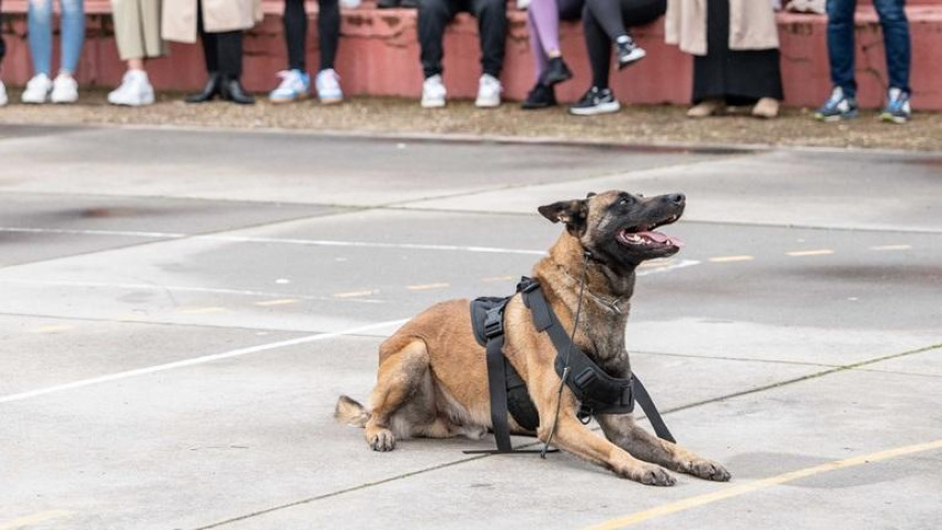 Exhibición Unidad Canina IES Emérita Augusta