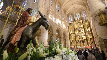 Procesión del Domingo de Ramos en Burgos