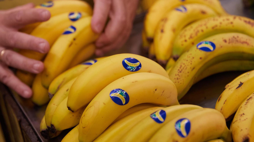 El precio del plátano no dejan de subir