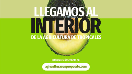 Llega el tercer congreso de Agricultura con Propósito de Tropicales de Cooperativa La Palma