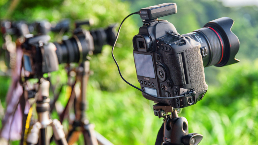 Una fila de cámaras profesionales captando imágenes del entorno rural