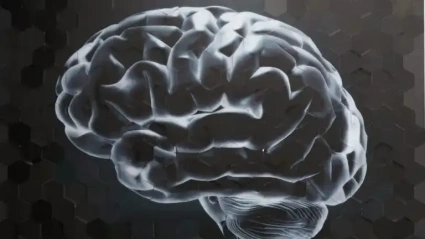 Cerebro