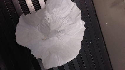 Muestras de actividad de prostitución