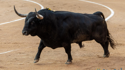 Frenoso, de Victoriano del Río