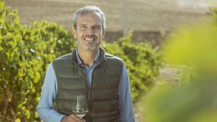 Santiago Mora, director del Consejo Regulador de Vinos de Origen