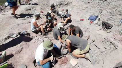 El pequeño municipio de La Rioja en el que vivió uno de los dinosaurios más grandes de la península ibérica: "Por todas partes"