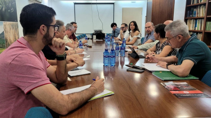 Organizaciones agrarias, técnicos y Junta de Andalucía ultiman una estrategia integral