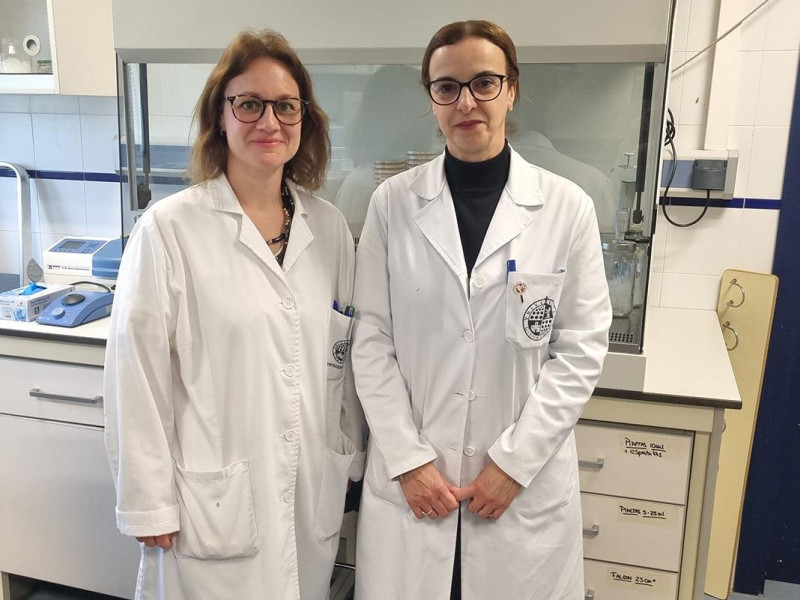 Investigadoras de la Universidad de Jaén identifican esporas bacterianas que presentan actividad antimicrobiana contra Xylella fastidiosa
