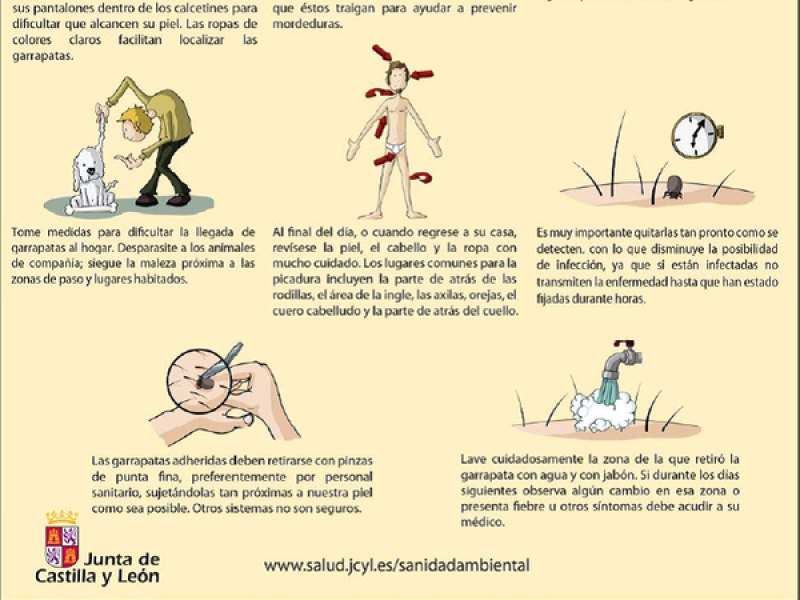¿Cómo actuar ante la picadura de una garrapata?