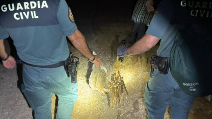 Dos agentes de la Guardia Civil con dos ejemplares capturados de manera furtiva.GUARDIA CIVIL
