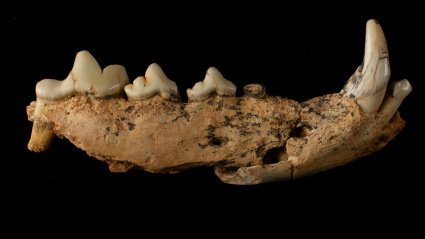 DOLINA TD3. ATA25-TD03-1-H08-1_MG_04