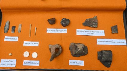 Resultados de la campaña de excavaciones