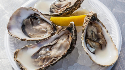 FD2EYE A plate of open oysters served in the traditional way over ice with a wedge of lemon.