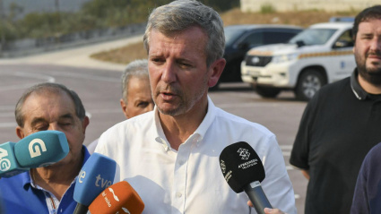 Alfonso Rueda, presidente de la Xunta de Galicia