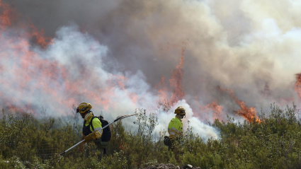 Incendio en la Sierra de la Culebra, este martes. Puercas (Zamora).