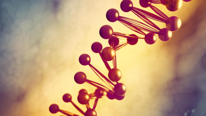 Representación del ADN