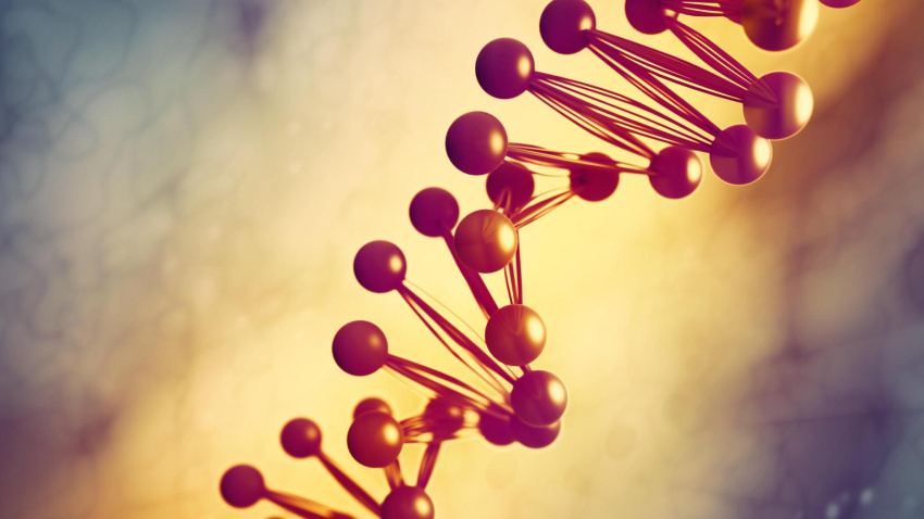 Representación del ADN