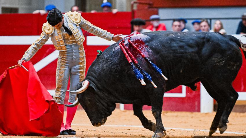 Pablo Aguado, durante su faena de muleta a un toro de Vellosino