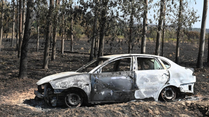 Un coche calcinado en el incendio de Quintana y Congosto (León)