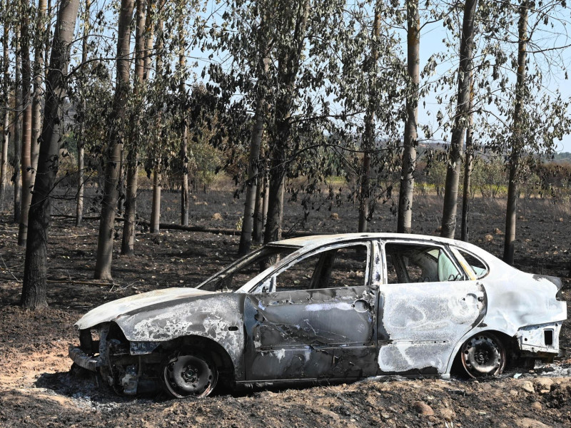 Un coche calcinado en el incendio de Quintana y Congosto (León)