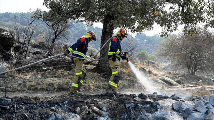Bomberos alemanes en Plasencia (Extremadura) ayudando a la lucha contra los incendios