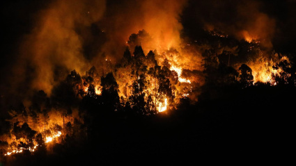 Fuego del incendio de Quiroga (Lugo)