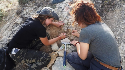Las Jornadas Paleontológicas de Sigüenza están dirigidas a personas de todas las edades y perfiles