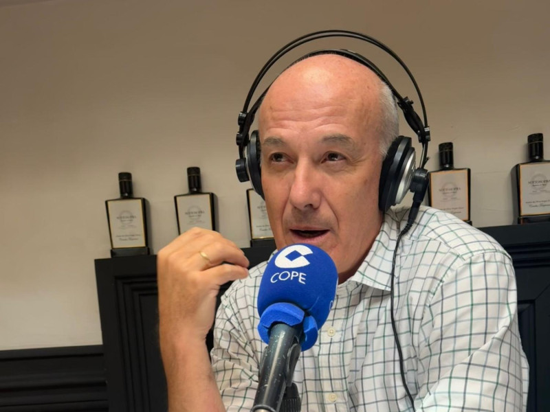 Narciso Michavila
