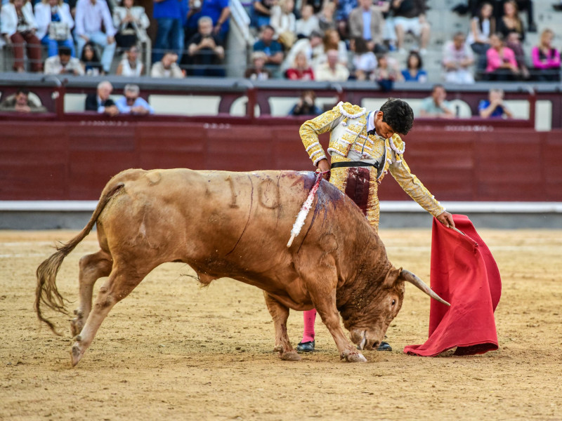 Natural de Emiliano Osornio ante el quinto novillo de López Gibaja