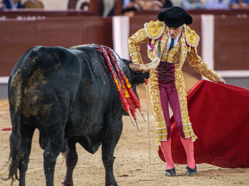 Jarocho durante la faena al sexto toro de Domingo Hernández este sábado en Las Ventas
