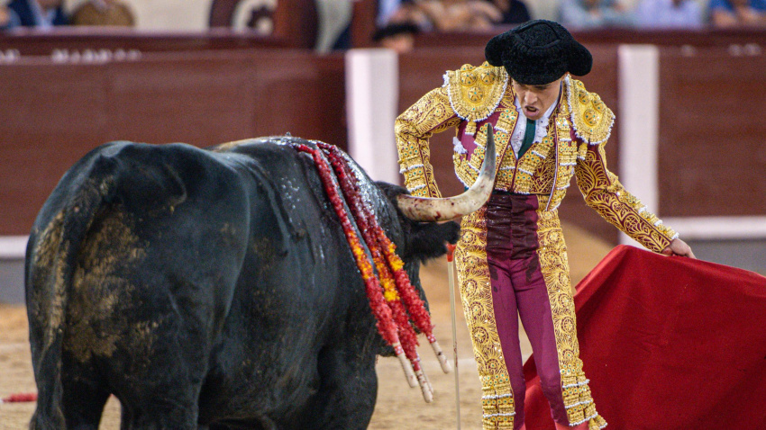 Jarocho durante la faena al sexto toro de Domingo Hernández este sábado en Las Ventas