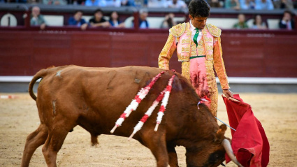 Natural de Samuel Castrejón al quinto novillo de Ángel Luis Peña, al que cortó una oreja