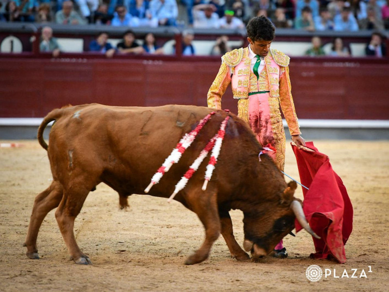 Natural de Samuel Castrejón al quinto novillo de Ángel Luis Peña, al que cortó una oreja